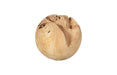 Phillips Collection Home Decor Phillips Collection Teak Wood Ball, Small, Bleached
