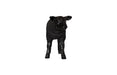 Phillips Collection Home Decor Phillips Collection Texelaar Sheep, Lamb, Gel Coat Black