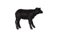 Phillips Collection Home Decor Phillips Collection Texelaar Sheep, Lamb, Gel Coat Black