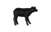 Phillips Collection Home Decor Phillips Collection Texelaar Sheep, Lamb, Gel Coat Black