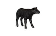 Phillips Collection Home Decor Phillips Collection Texelaar Sheep, Lamb, Gel Coat Black