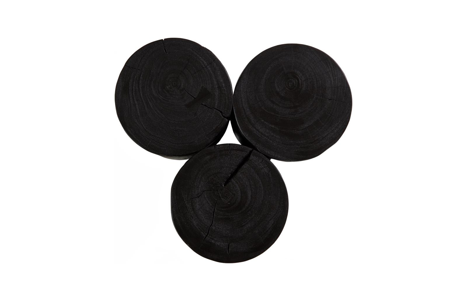 Phillips Collection Home Decor Phillips Collection Triflora Side Table, Black, Small