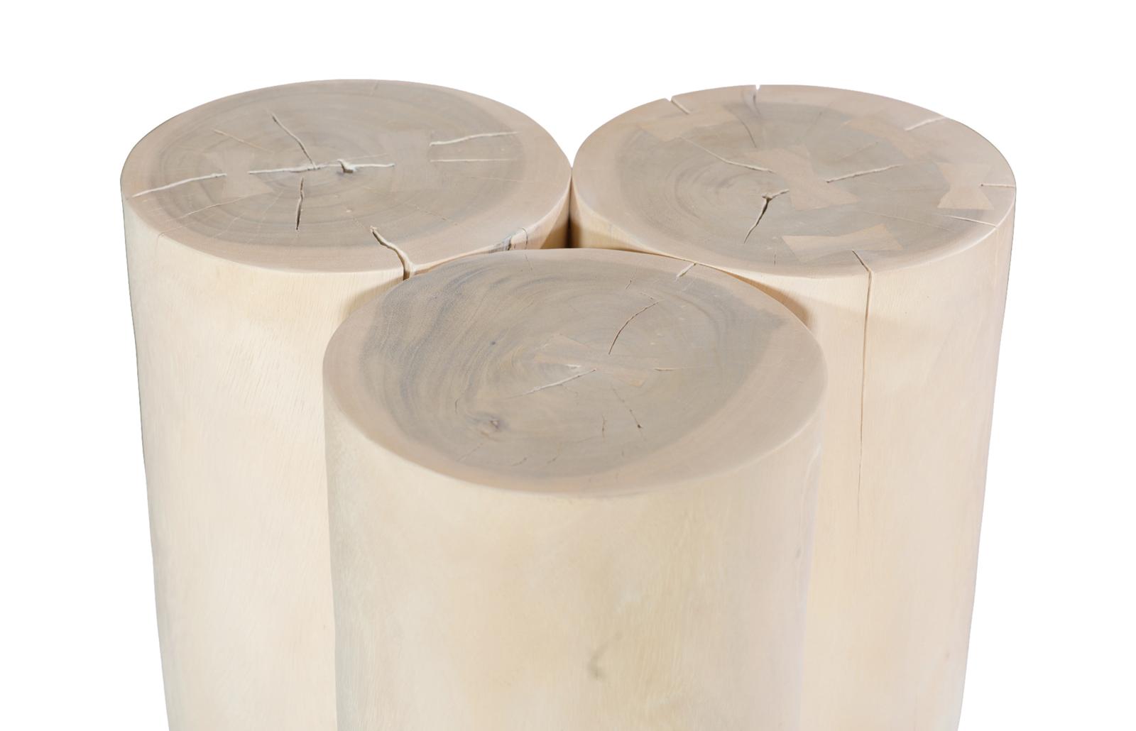 Phillips Collection Home Decor Phillips Collection Triflora Side Table, Bleached, Small