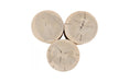 Phillips Collection Home Decor Phillips Collection Triflora Side Table, Bleached, Small