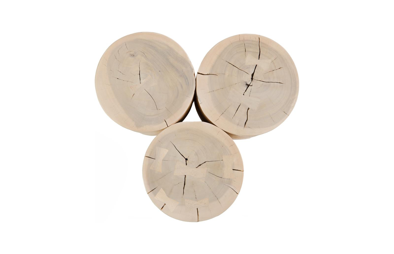 Phillips Collection Home Decor Phillips Collection Triflora Side Table, Bleached, Small