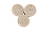 Phillips Collection Home Decor Phillips Collection Triflora Side Table, Bleached, Small