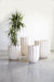Phillips Collection Home Decor Phillips Collection Tulip Flower Planter, Slim Tall PH115659