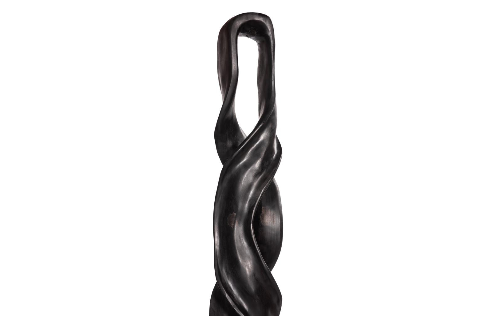 Phillips Collection Home Decor Phillips Collection Twisting Root, Sculpture, Black