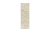 Phlillips Collection Home Rate to be Quoted Phillips Collection Coral Reef Wall Art, Rectangle, Rectangle