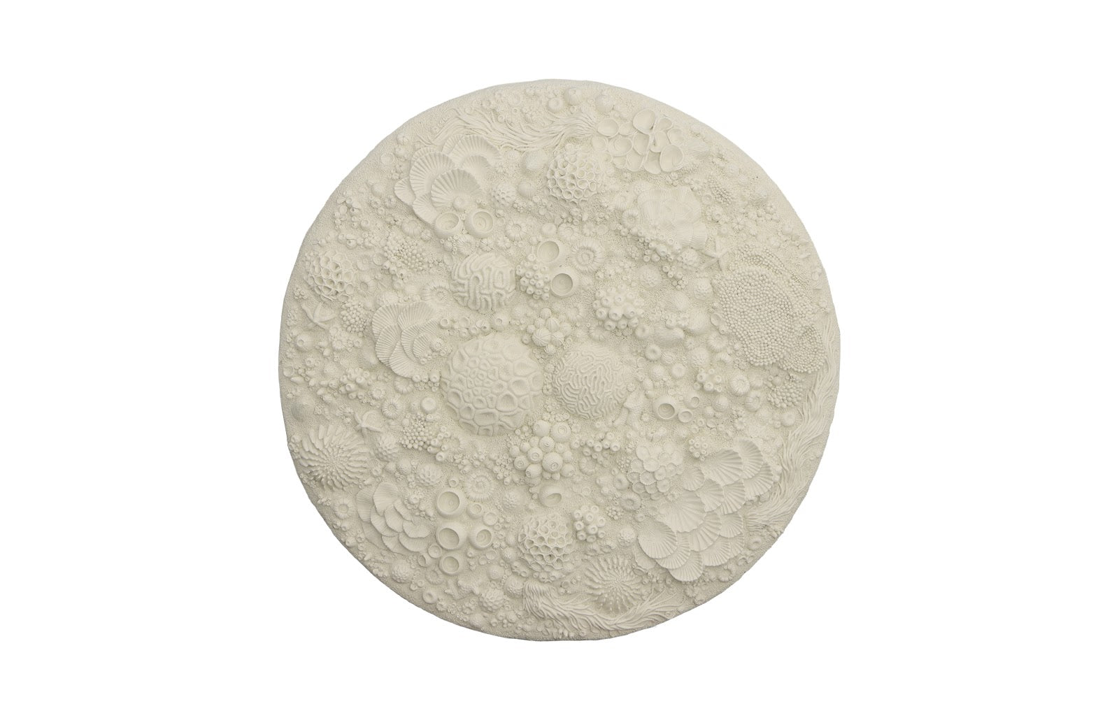 Phlillips Collection Home Rate to be Quoted Phillips Collection Coral Reef Wall Art, Round