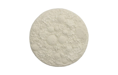Phlillips Collection Home Rate to be Quoted Phillips Collection Coral Reef Wall Art, Round