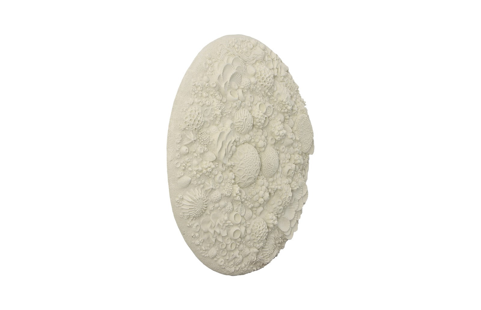 Phlillips Collection Home Rate to be Quoted Phillips Collection Coral Reef Wall Art, Round