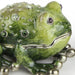 Quest Collection Judaica Quest Collection Frog Salt & Pepper Set