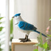 SPI Home Home Decor Colorful Blue Jay