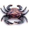 SPI Home Home Decor Crab Doorknocker