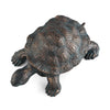 SPI Home Home Decor Curious Young Turtle Garden Sculpture