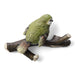 SPI Home Home Decor Greenfinch Wall Hook bird