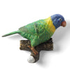 SPI Home Home Decor Lorikeet Wall Hook Bird