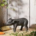 SPI Home Home Decor Proper Pig Figure