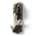 SPI Home Home Decor Woodpecker Wall Hook bird