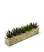 T&C Floral Company Home Decor Cream Agave in Rectangular Glass