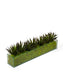 T&C Floral Company Home Decor Green Agave in Rectangular Glass