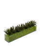 T&C Floral Company Home Decor Green Agave in Rectangular Glass