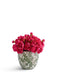 T&C Floral Company Home Decor Baby Ranunculus in Green & White Floral Vase Hot Pink