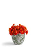 T&C Floral Company Home Decor Baby Ranunculus in Green & White Floral Vase Orange