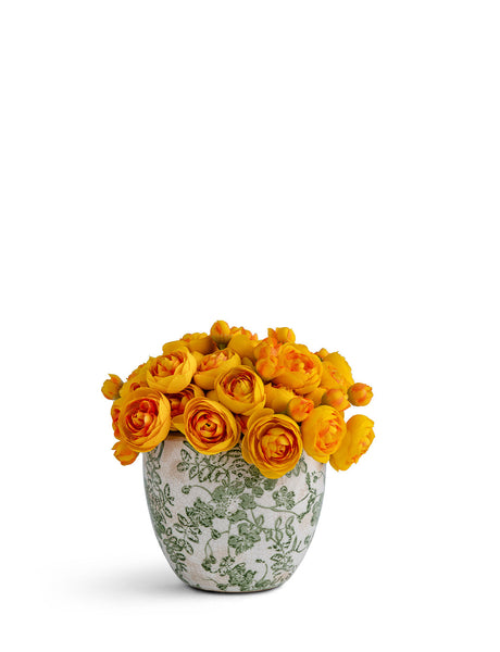 T&C Floral Company Home Decor Baby Ranunculus in Green & White Floral Vase Yellow