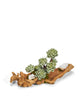 T&C Floral Company Home Decor Green Baby Wood Log with Sedum