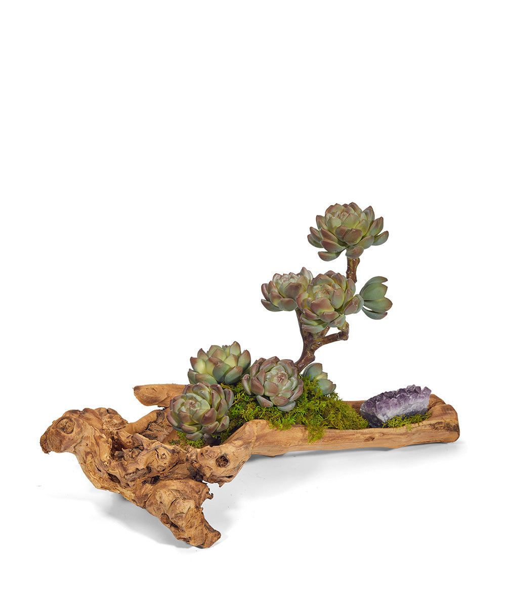 T&C Floral Company Home Decor Purple Baby Wood Log with Sedum