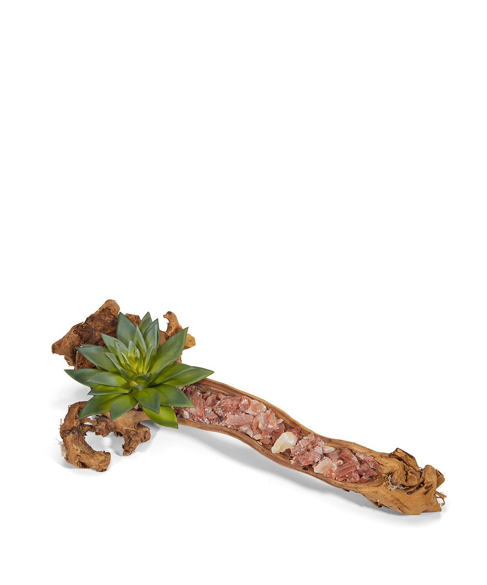 T&C Floral Company Home Decor Red Calcite Baby Wooden Log with Succulents & Stones