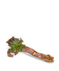 T&C Floral Company Home Decor Red Calcite Baby Wooden Log with Succulents & Stones