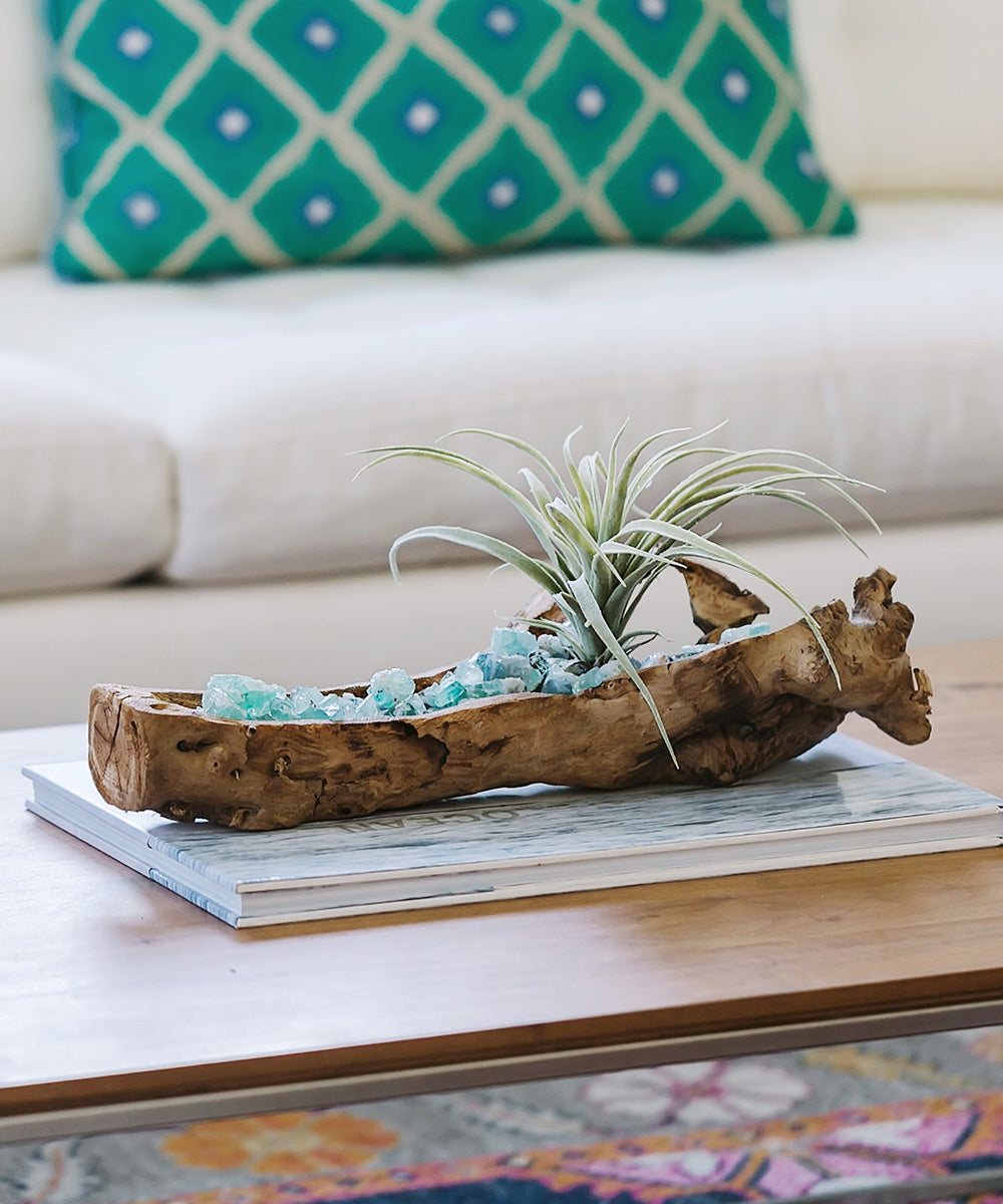 T&C Floral Company Home Decor Baby Wooden Log with Succulents & Stones