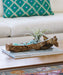 T&C Floral Company Home Decor Baby Wooden Log with Succulents & Stones