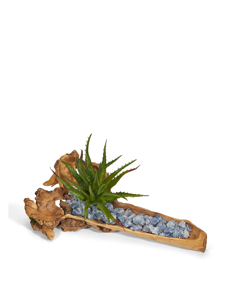 T&C Floral Company Home Decor Blue Calcite Baby Wooden Log with Succulents & Stones