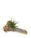T&C Floral Company Home Decor Blue Calcite Baby Wooden Log with Succulents & Stones