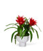 T&C Floral Company Home Decor Red Bromeliad in a Unique Contemporary Container