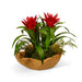 T&C Floral Company Home Decor Bromeliads in Hand Carved Wood Bowl
