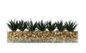 T&C Floral Company Home Decor Design Your Own Agave Arrangement