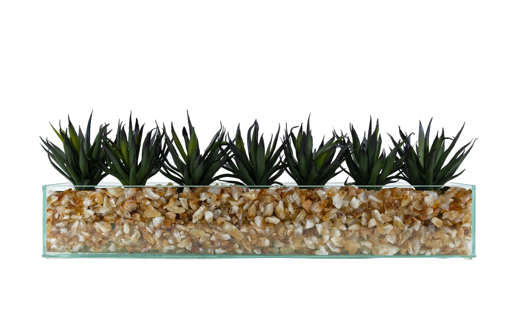 T&C Floral Company Home Decor Design Your Own Agave Arrangement
