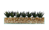 T&C Floral Company Home Decor Design Your Own Agave Arrangement