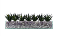 T&C Floral Company Home Decor Design Your Own Agave Arrangement