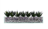 T&C Floral Company Home Decor Design Your Own Agave Arrangement