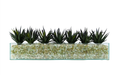 T&C Floral Company Home Decor Design Your Own Agave Arrangement