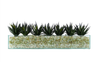 T&C Floral Company Home Decor Design Your Own Agave Arrangement
