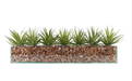 T&C Floral Company Home Decor Design Your Own Agave Arrangement