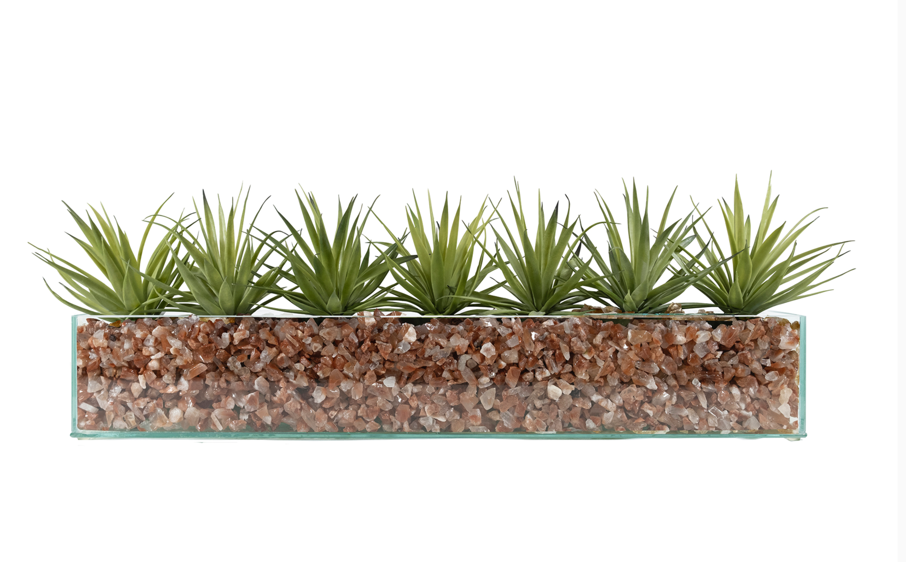 T&C Floral Company Home Decor Design Your Own Agave Arrangement
