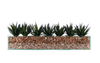 T&C Floral Company Home Decor Design Your Own Agave Arrangement